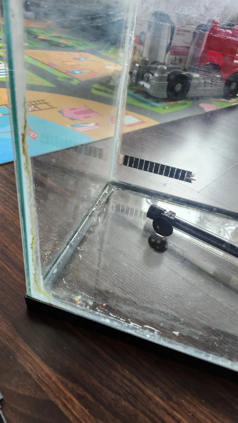 10 gallon Glass Aquarium - photo 5