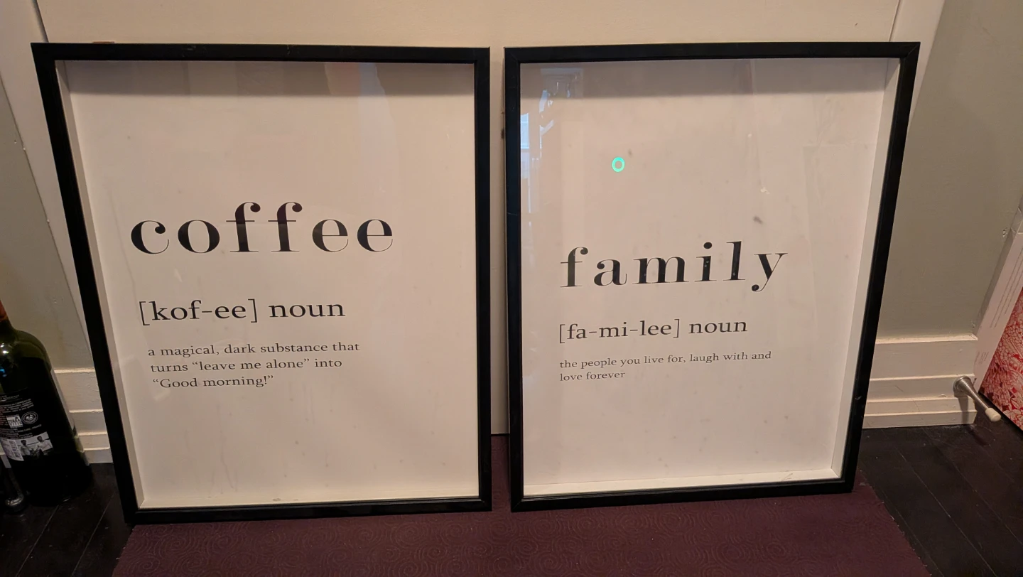Set of 2 Quality Glass Framed Definition Prints
