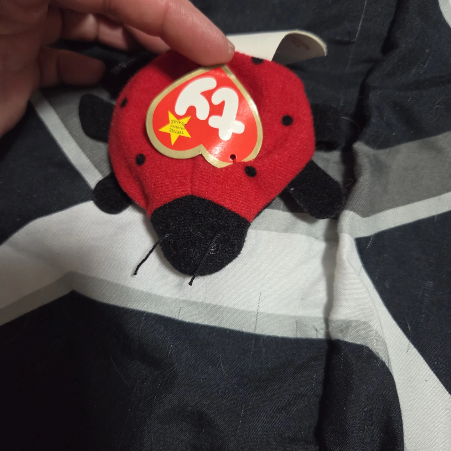 Teenie Beanie Babies Lucky the Ladybug