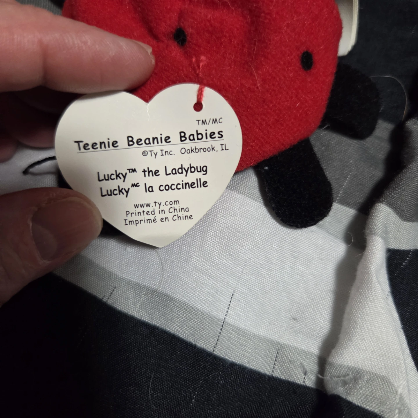 Teenie Beanie Babies Lucky the Ladybug - photo 2