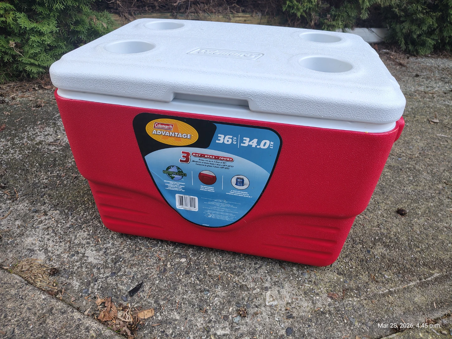 Coleman 36 qt Carry Cooler with Cup Holders