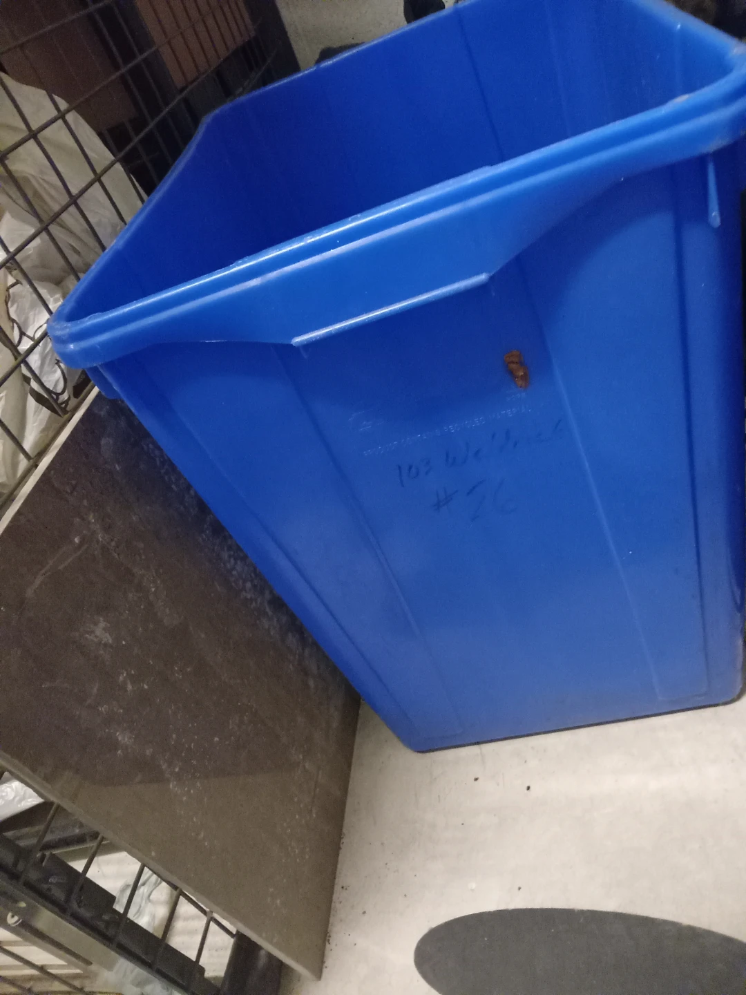 Blue Plastic Storage Bin