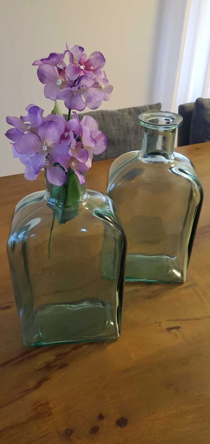 Set of 2 Glass Bottle Vase