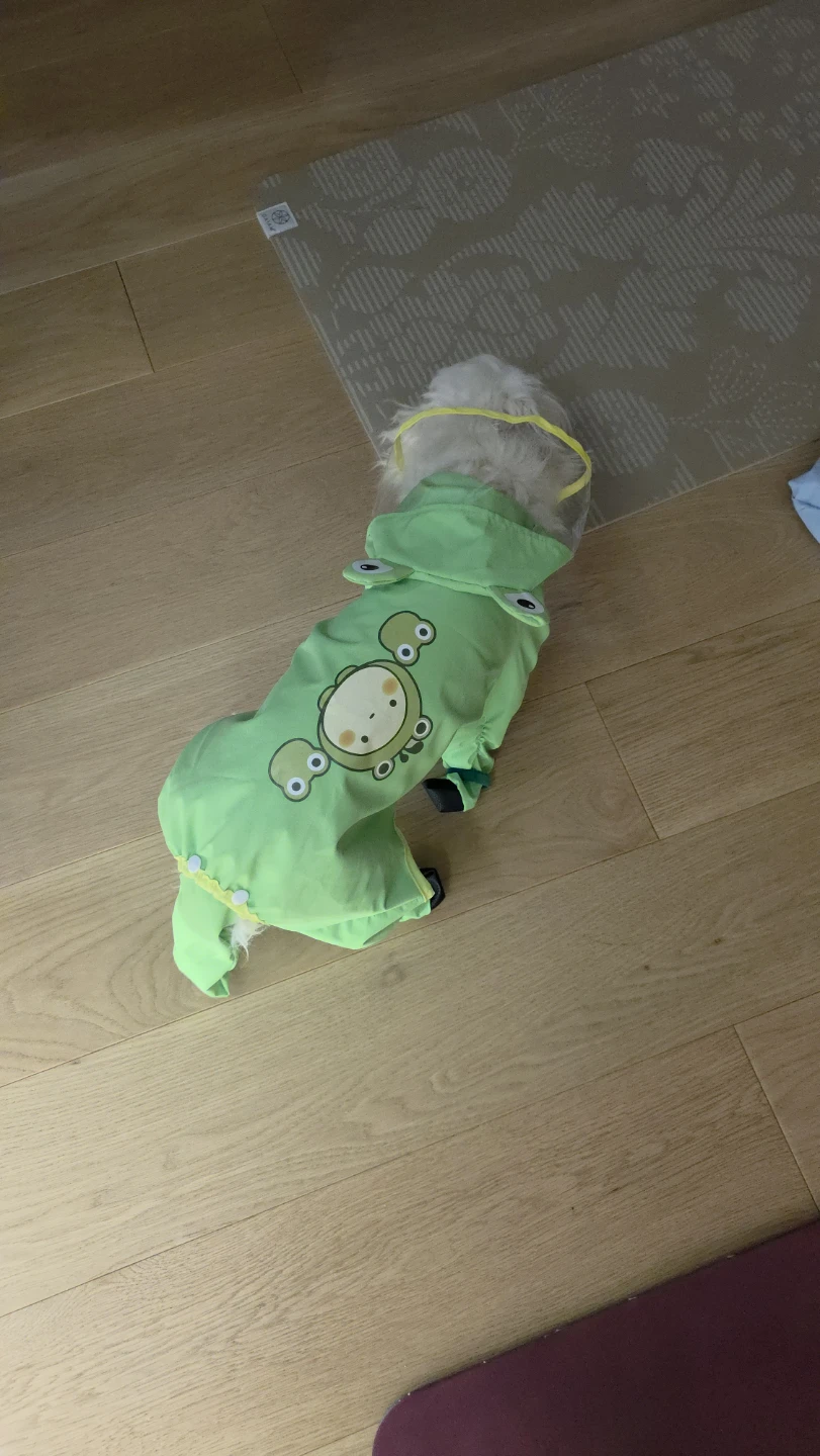 Dog Raincoat full protection head to paw, large size - photo 3
