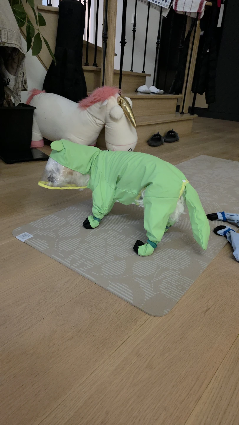 Dog Raincoat full protection head to paw, large size - photo 4