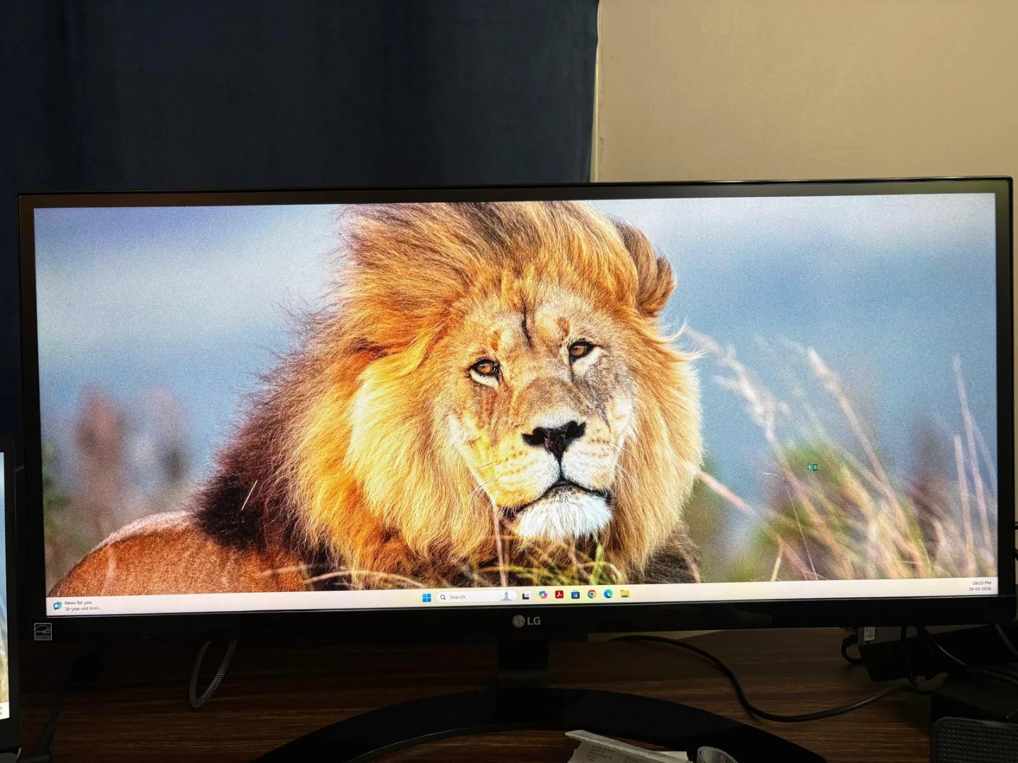 LG Computer Monitor - photo 5