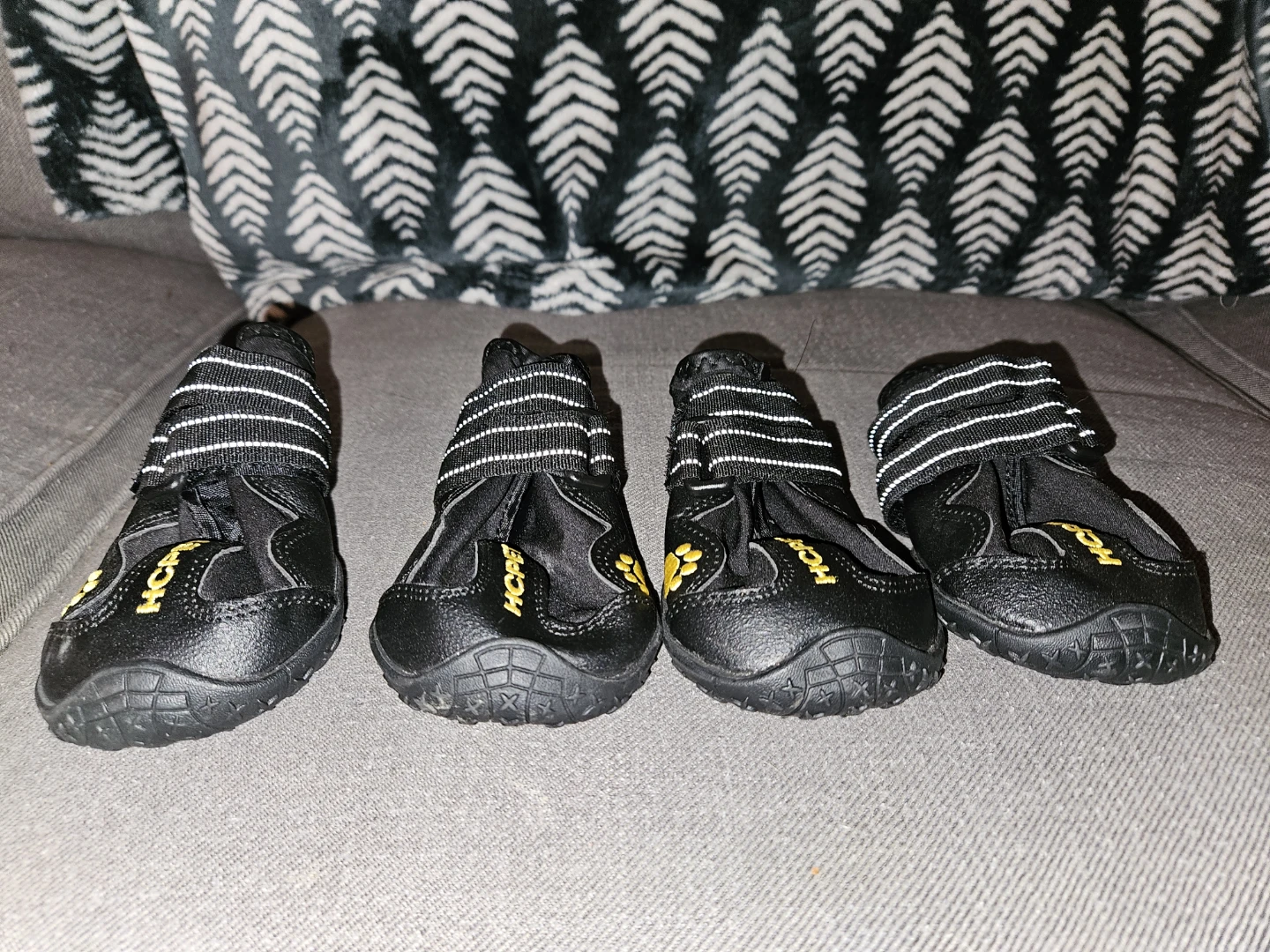 HCPET Black Dog Boots - Set of 4