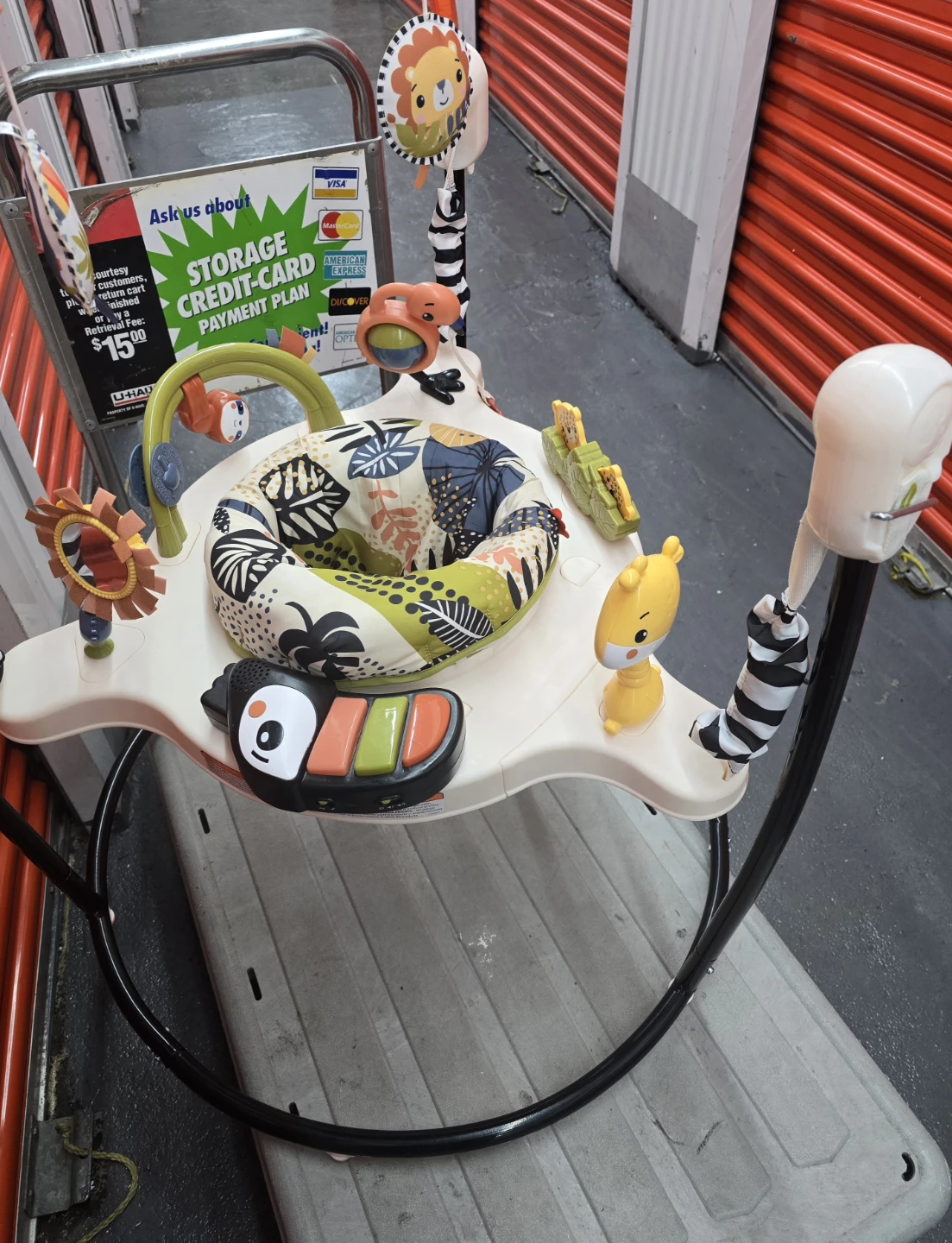 Fisher-Price Jumperoo - photo 3