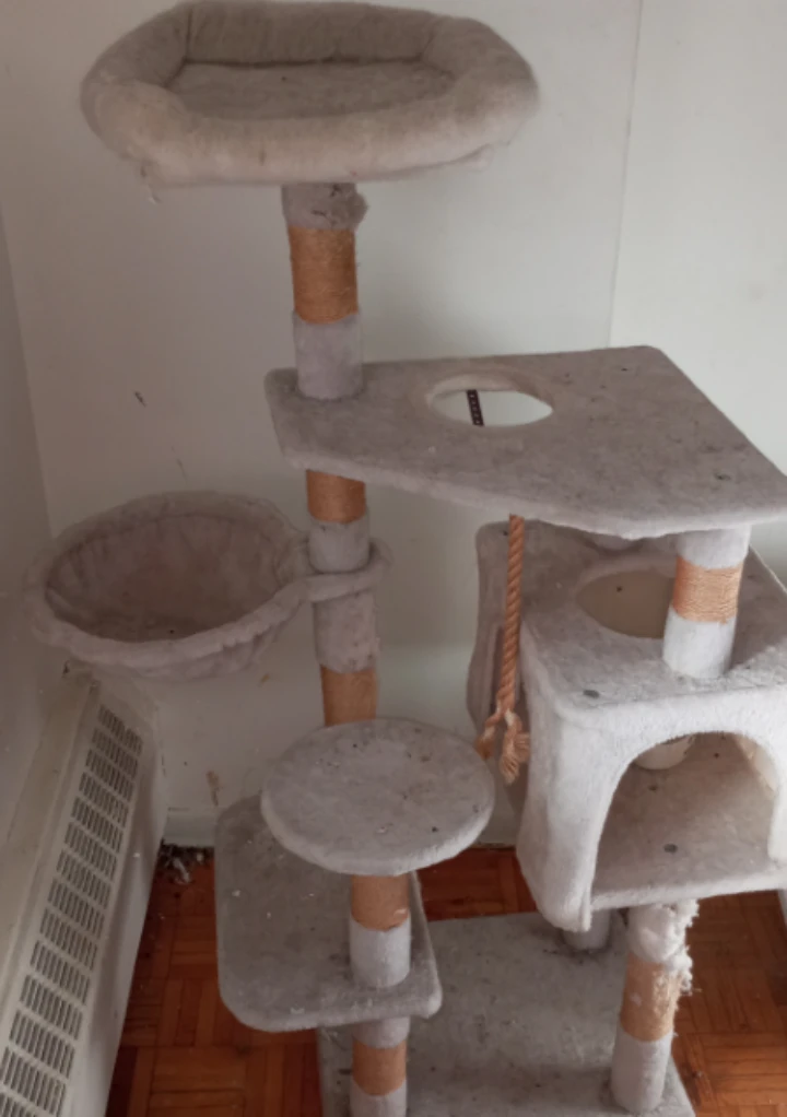 Multi-level Cat Tree Condo