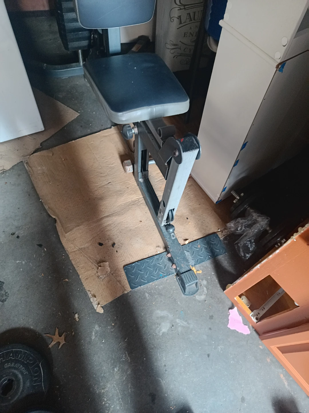 Free Home Gym - photo 5