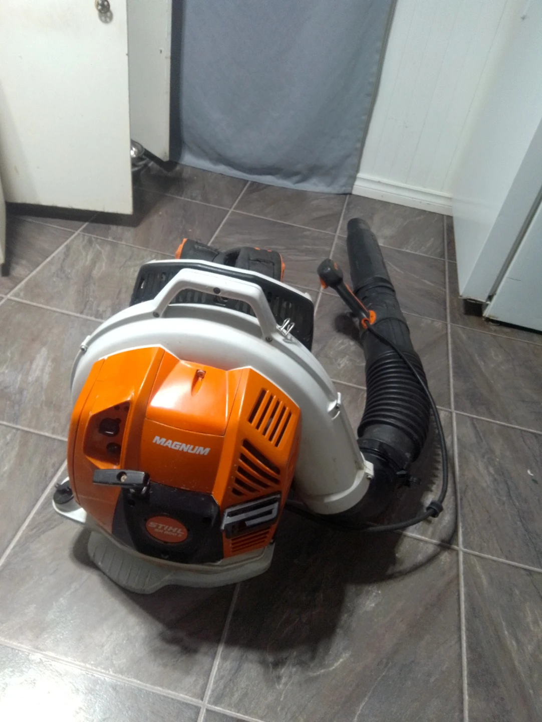 STIHL Backpack Leaf/snow Blower