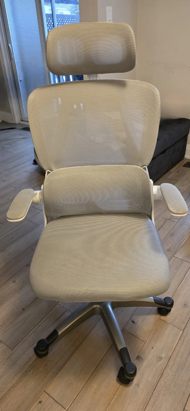 Ergonomic Office Chair with Headrest - photo 3