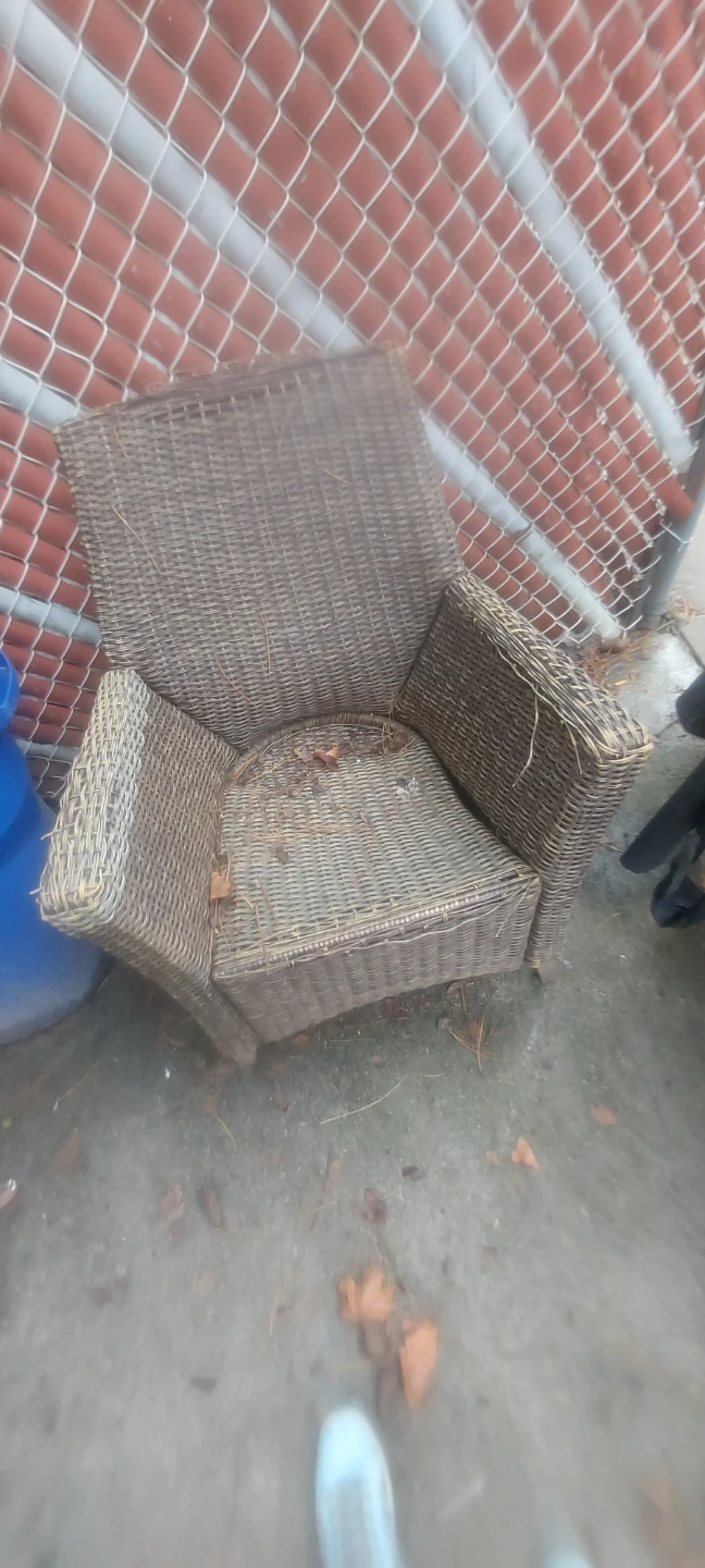Wicker Armchair