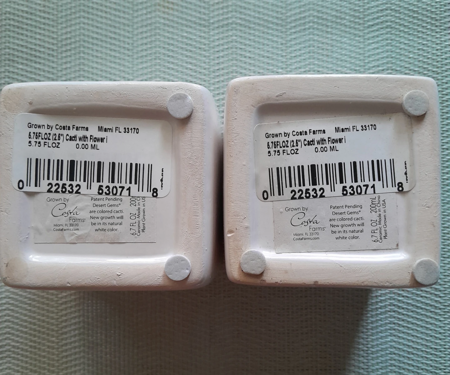 Costa Farms Ceramic Plant Pots (Set of 2) - photo 3