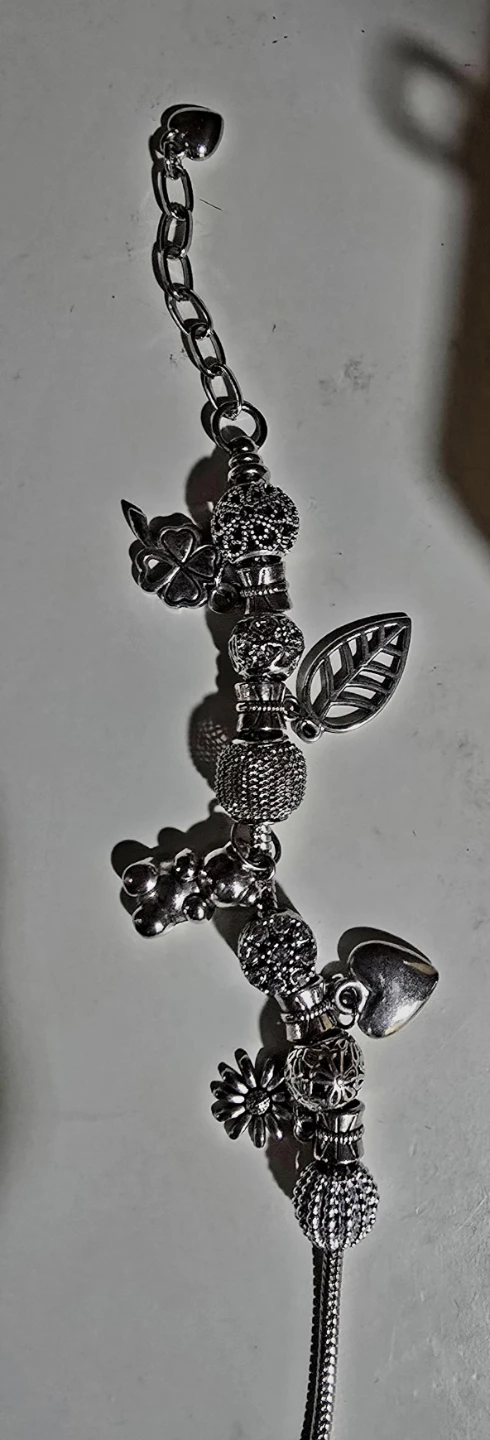 Charm Bracelet with Silver-Tone Charms - photo 2