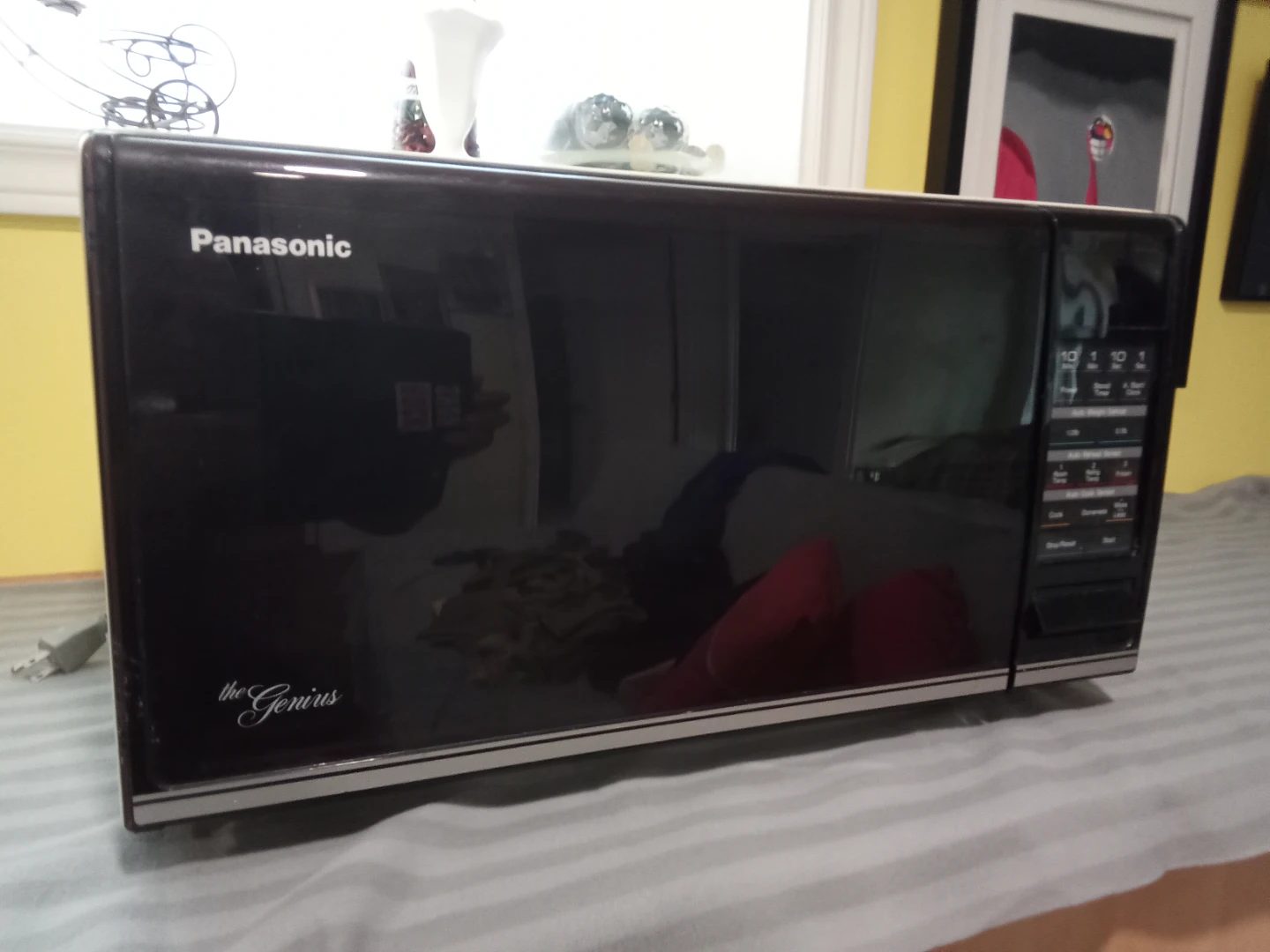 Panasonic The Genius Microwave