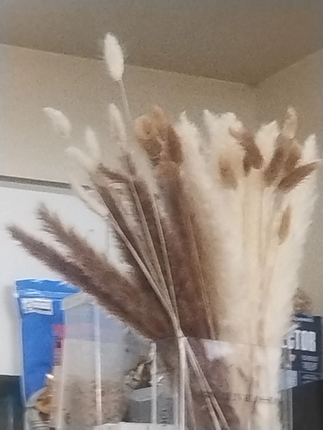 Dried Pampas Grass and Bunny Tails Arrangement
