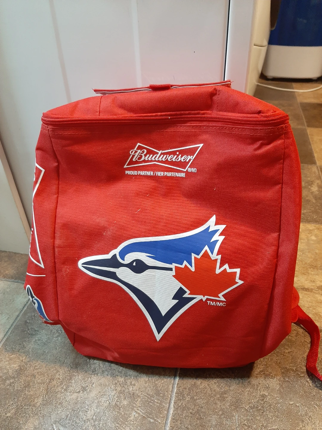 Cooler Backpack 🧡
