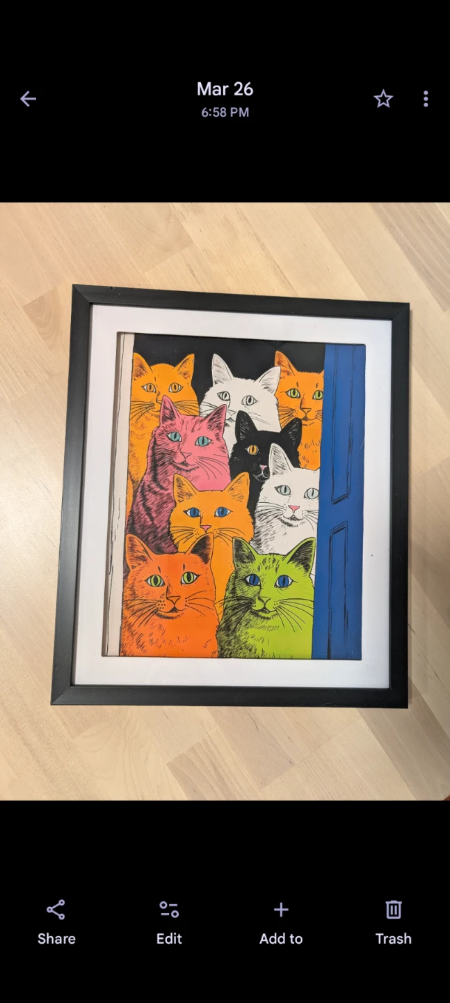 $10 *Framed* colorful cat Print with black frame