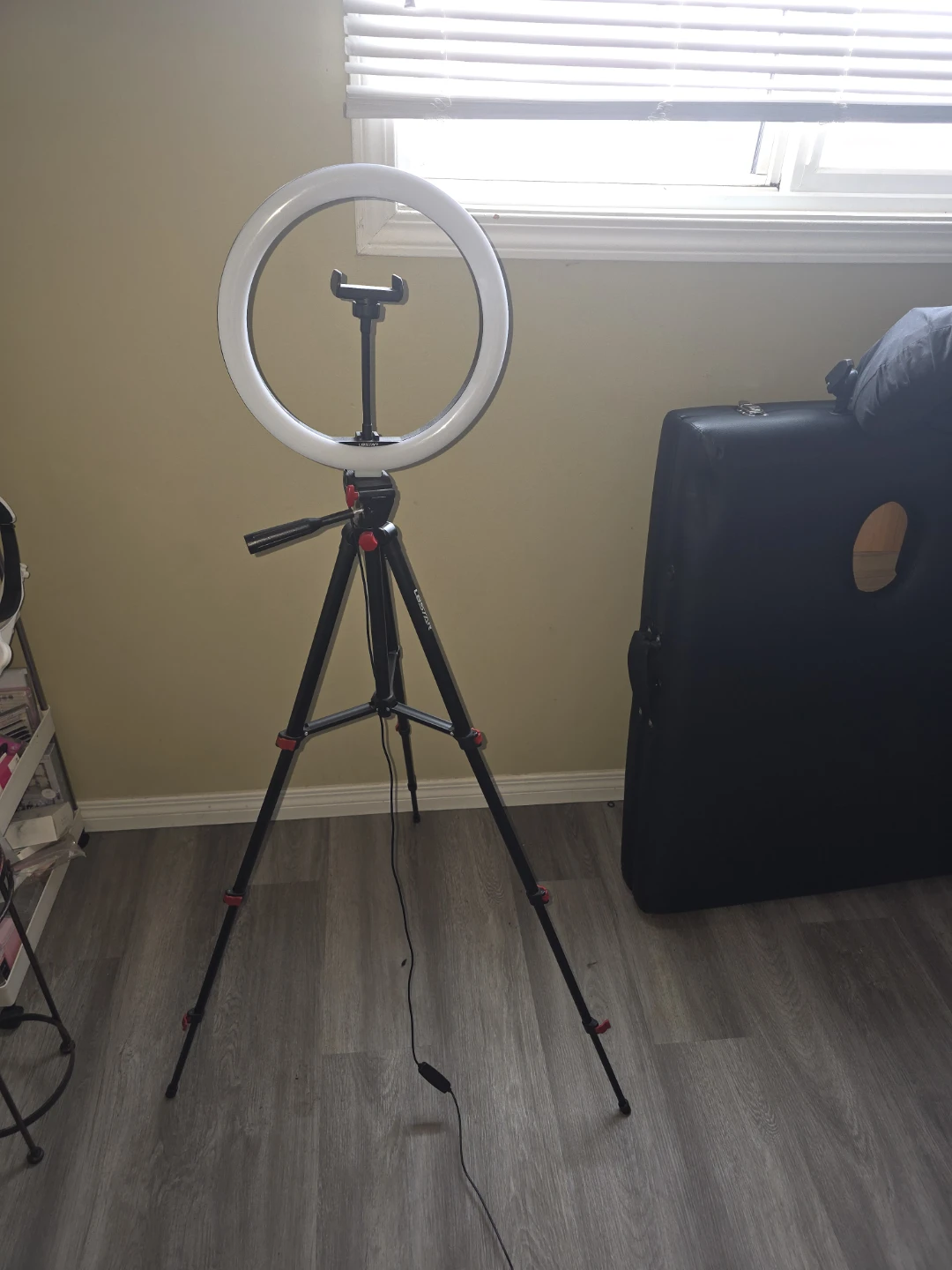 LED Ring Light with Tripod Stand