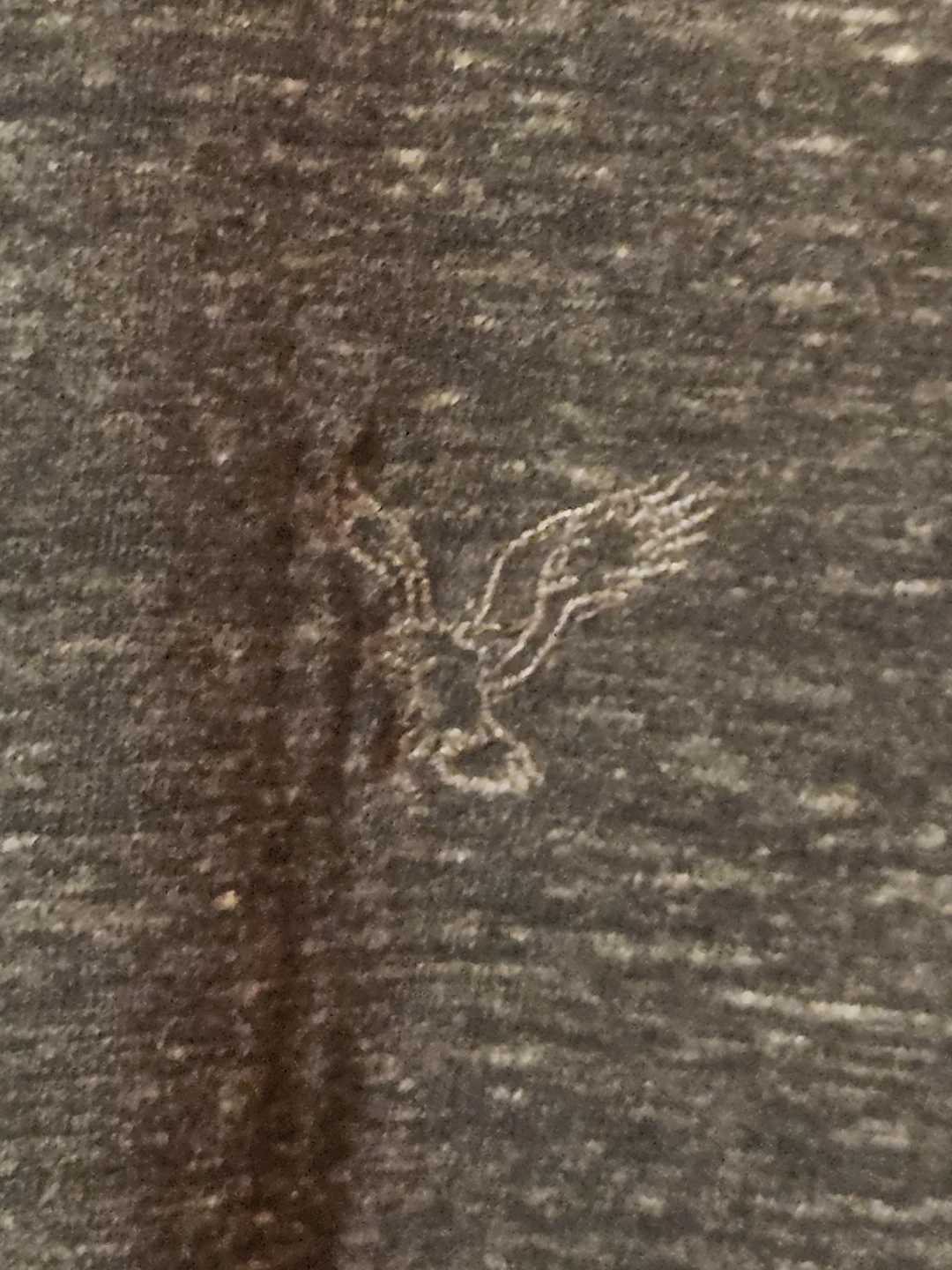 Men's Tshirt - photo 2