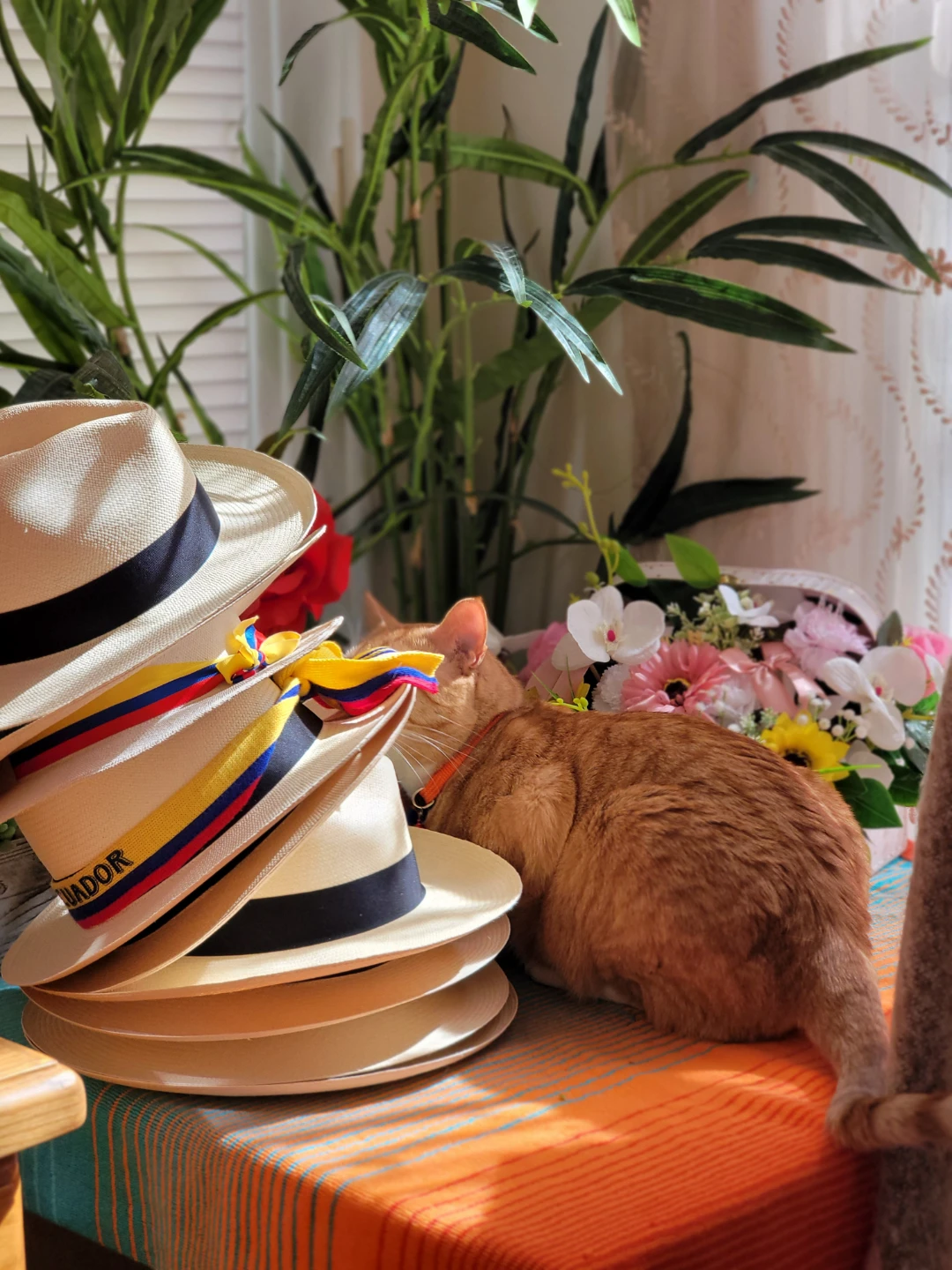 Straw Panama Hats with Black Bands /Unisex - photo 3