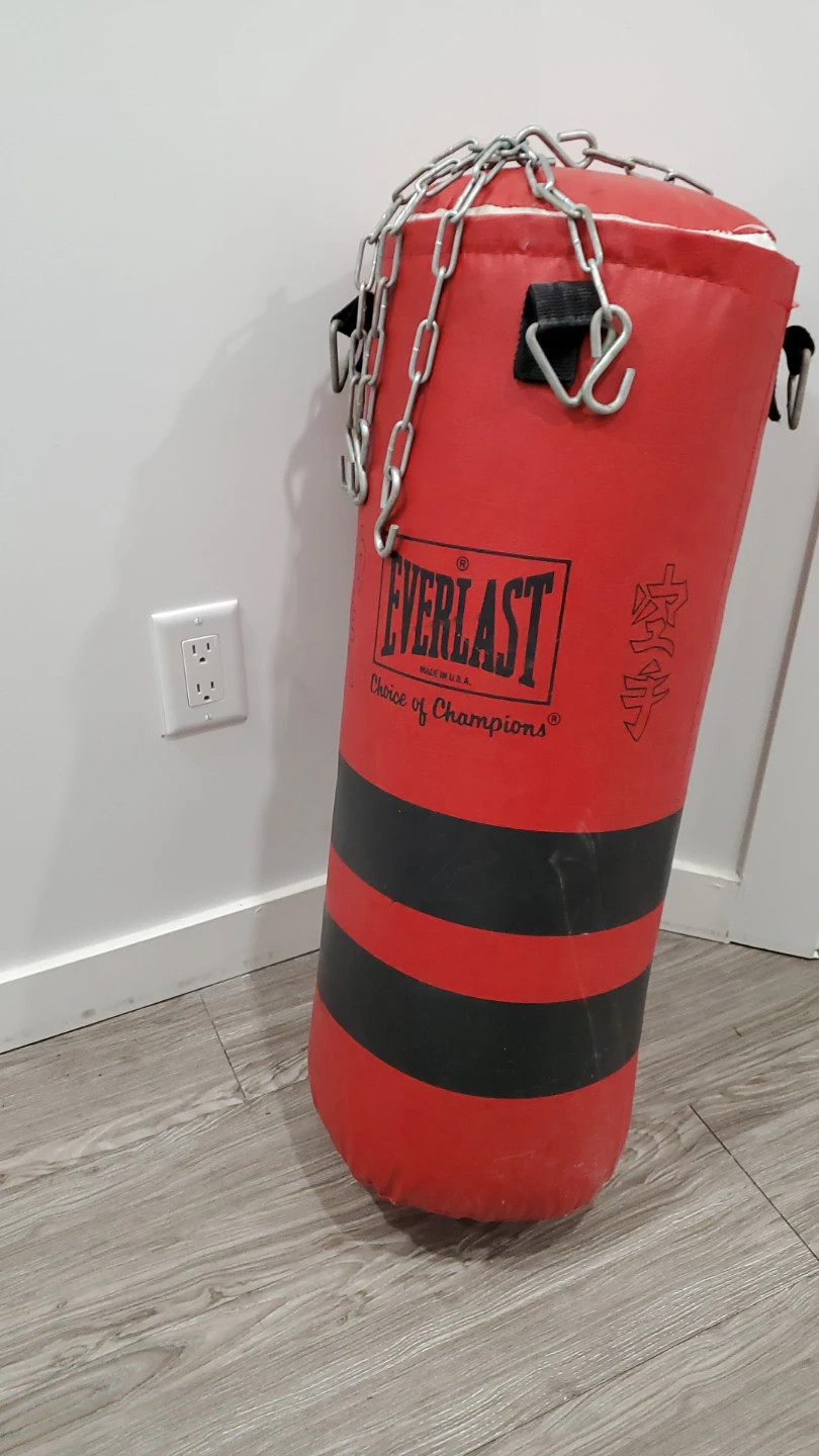 Everlast Punching Bag - photo 2