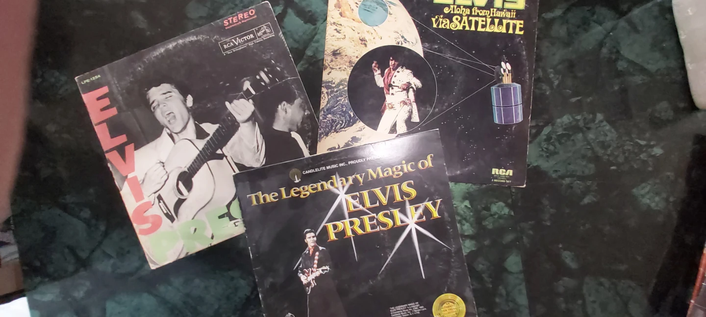 Elvis Presley & The Everly Brothers Vinyl Records Collection - photo 2
