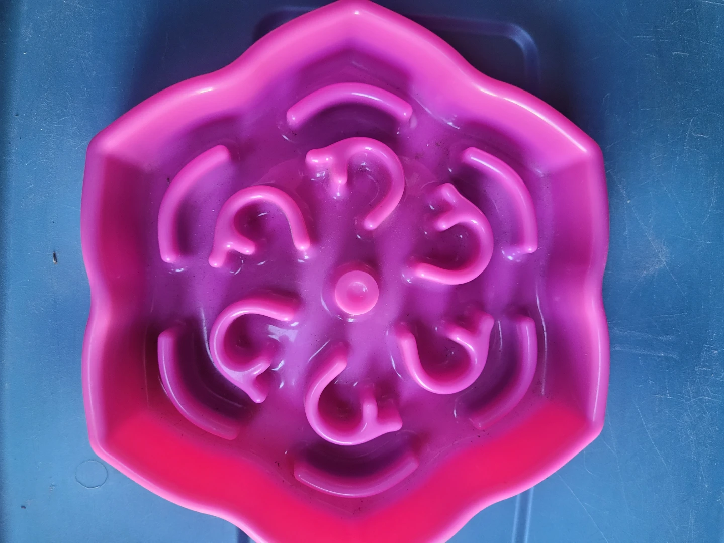Purple Pet Slow Feeder Bowl