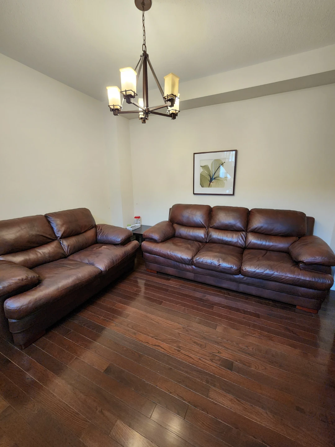 Top Grain Brown Leather Sofa Set (3-seater and 2-seater)