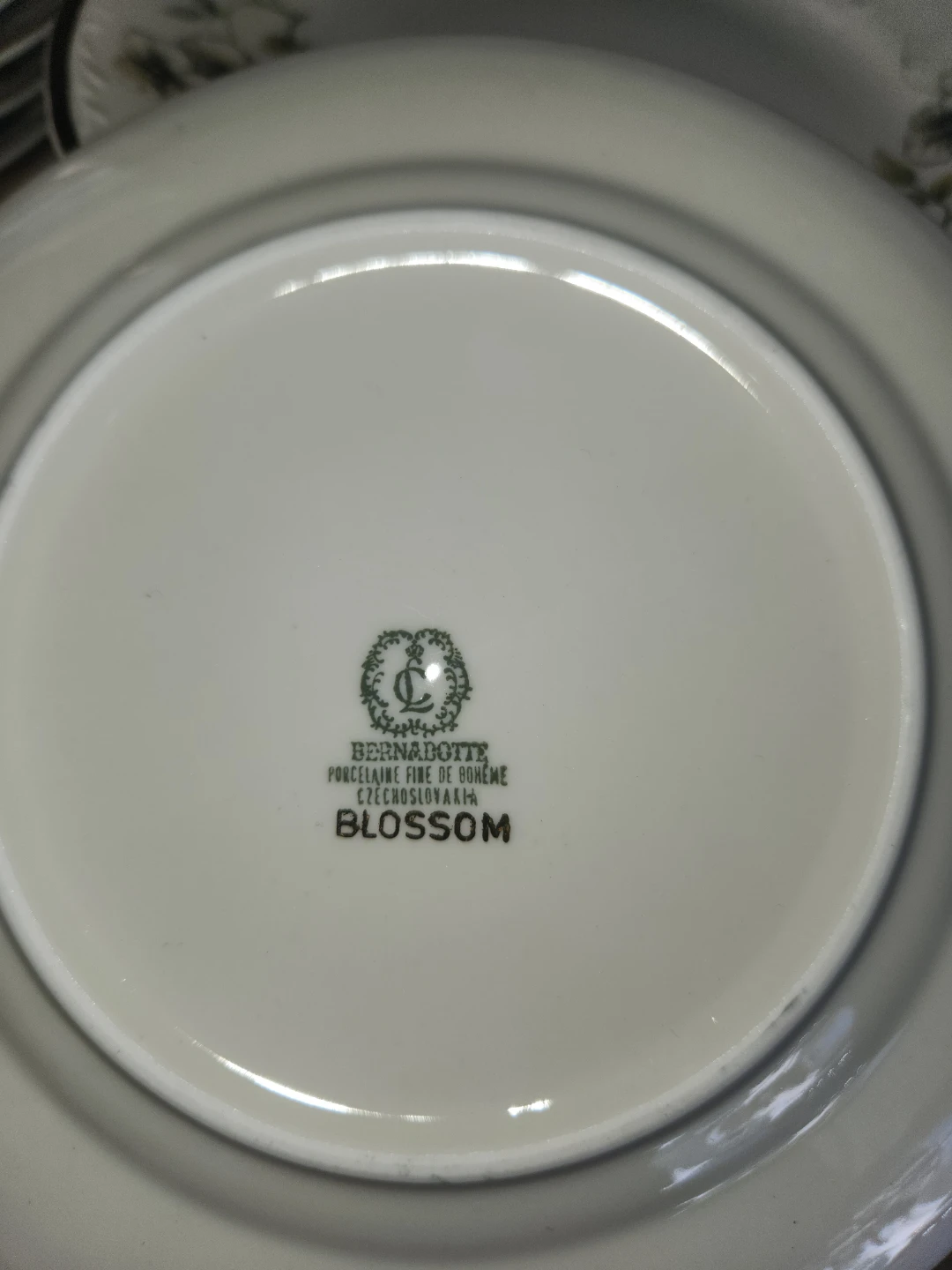 Bernadotte Blossom Porcelain Dinnerware Set - Czechoslovakia - photo 2