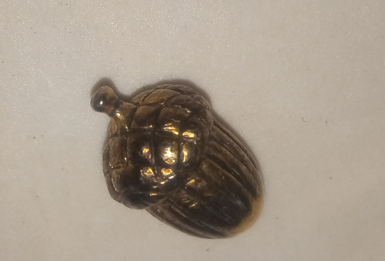 Brass Acorn Charm Pendant