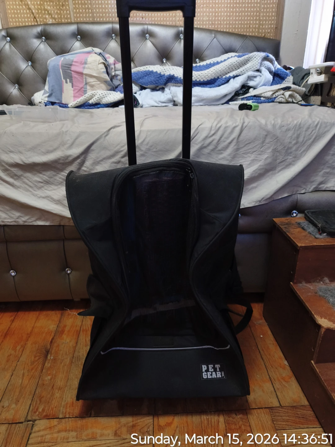 Pet Carrier With Wheels & Pull Handle