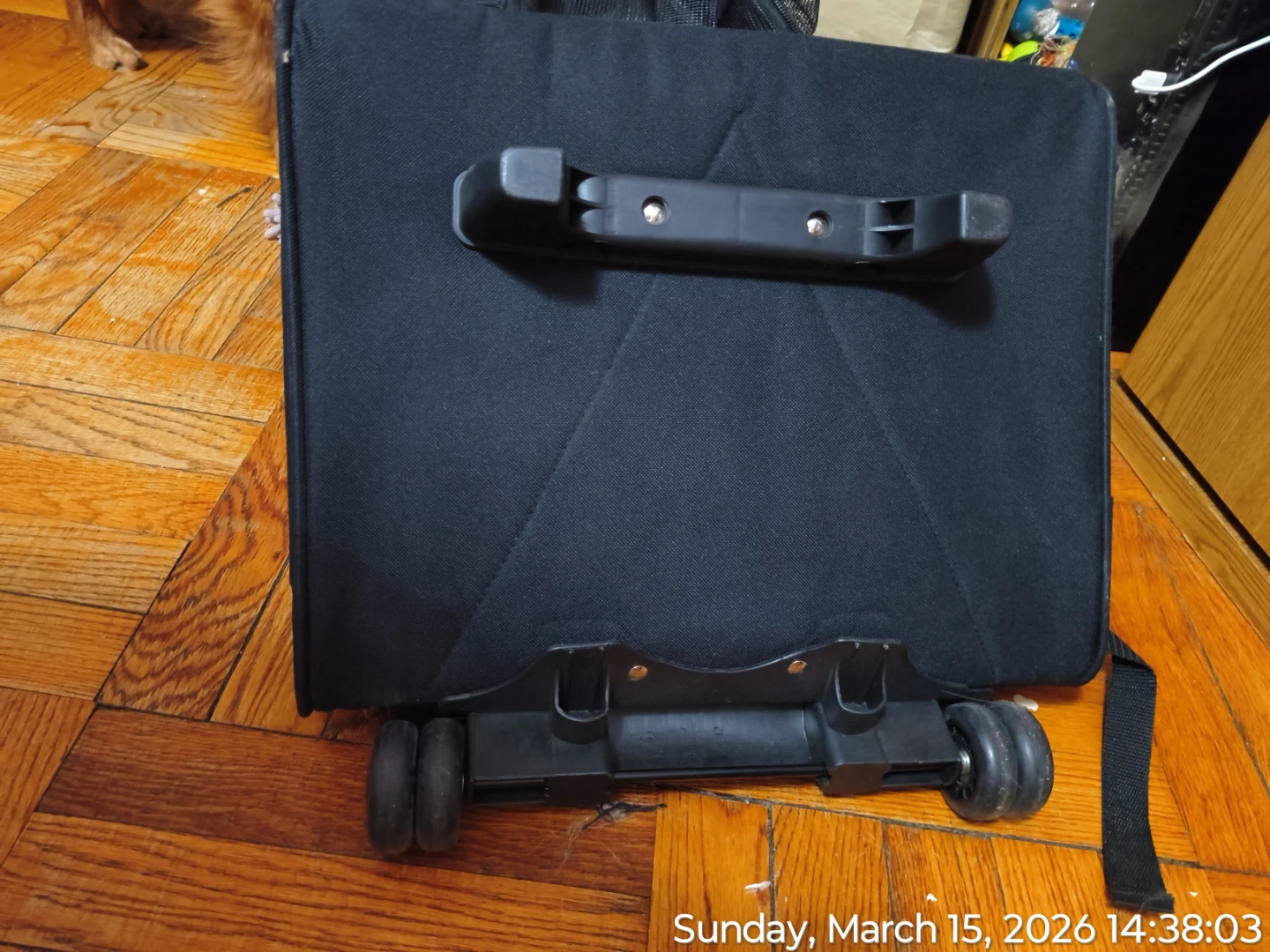 Pet Carrier With Wheels & Pull Handle - photo 4