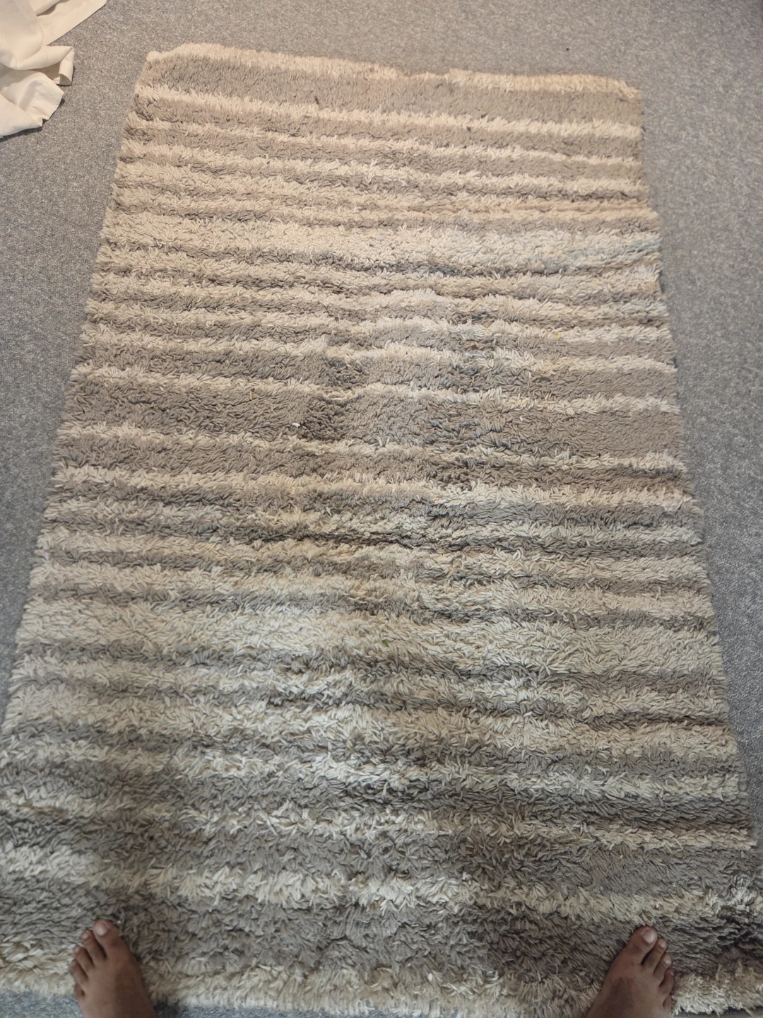 Maxim Shag Rug White/Gray