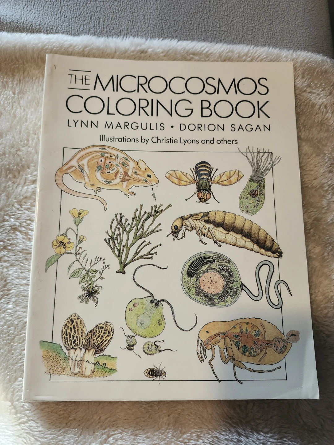 1988 Microcosmos Coloring Book by Margulis and Sagan