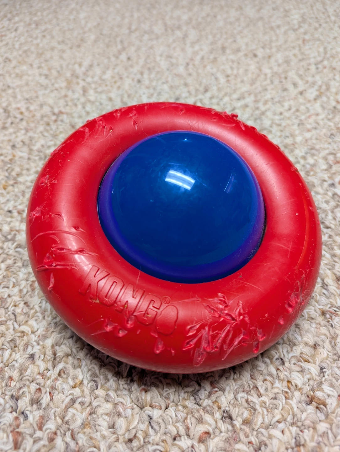 KONG Red & Blue Dog Toy