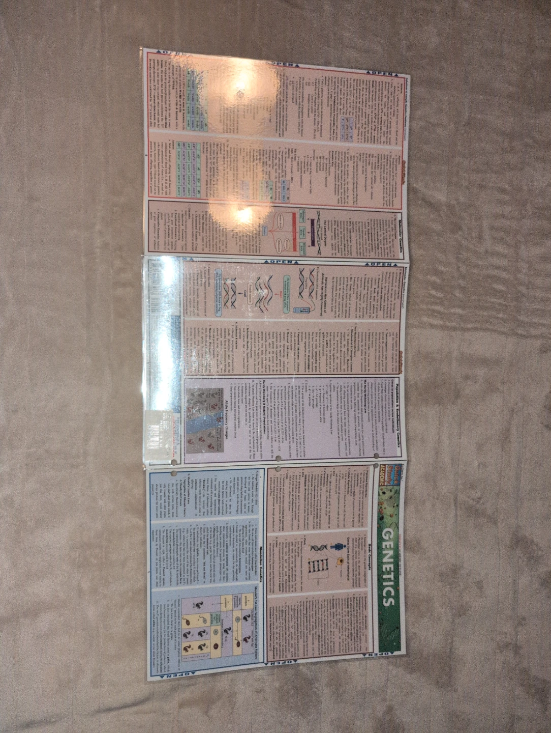 Quick Study Academic Genetics Reference Sheets - photo 2