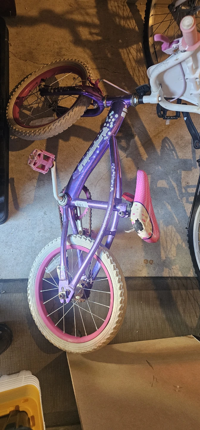 Kids Purple & Pink Bicycle