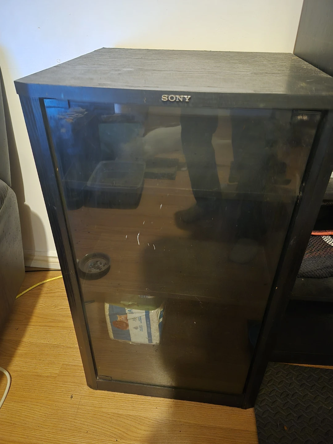 Sony Media Cabinet with Glass Door