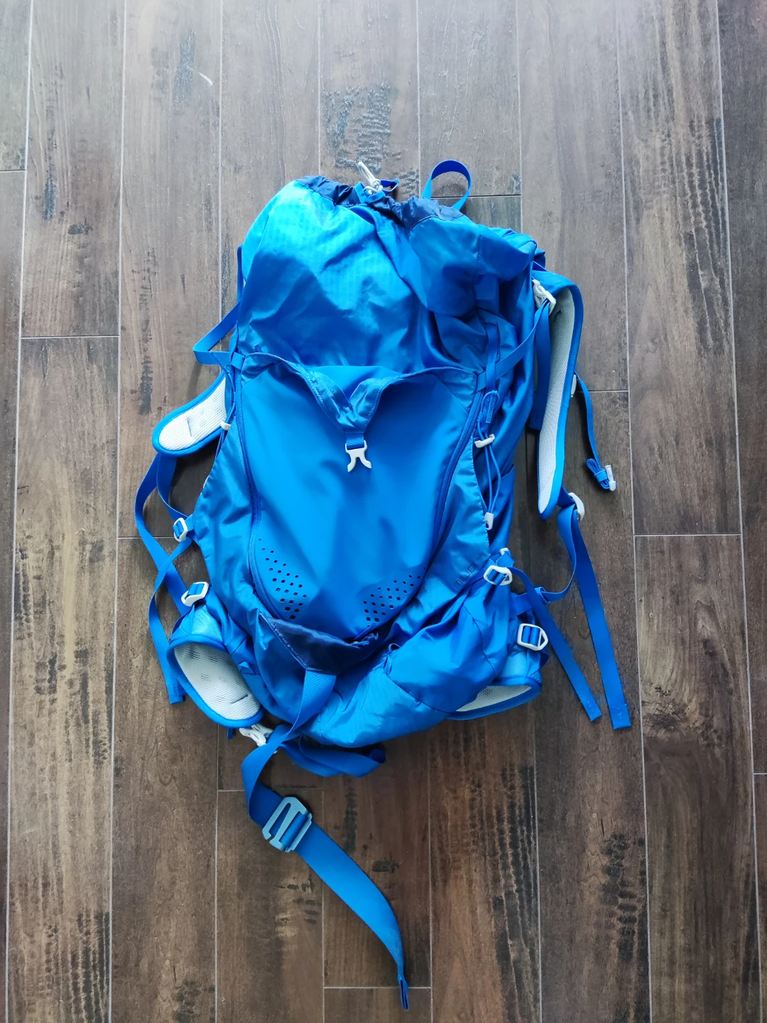 Gregory Miwok 44 Backpack 🥕