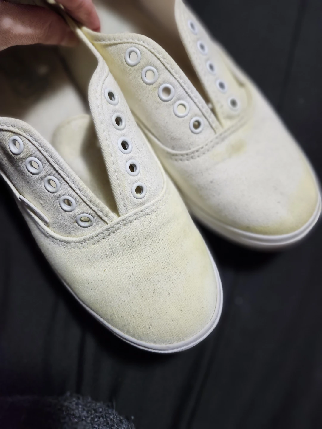 $5 vans - photo 2