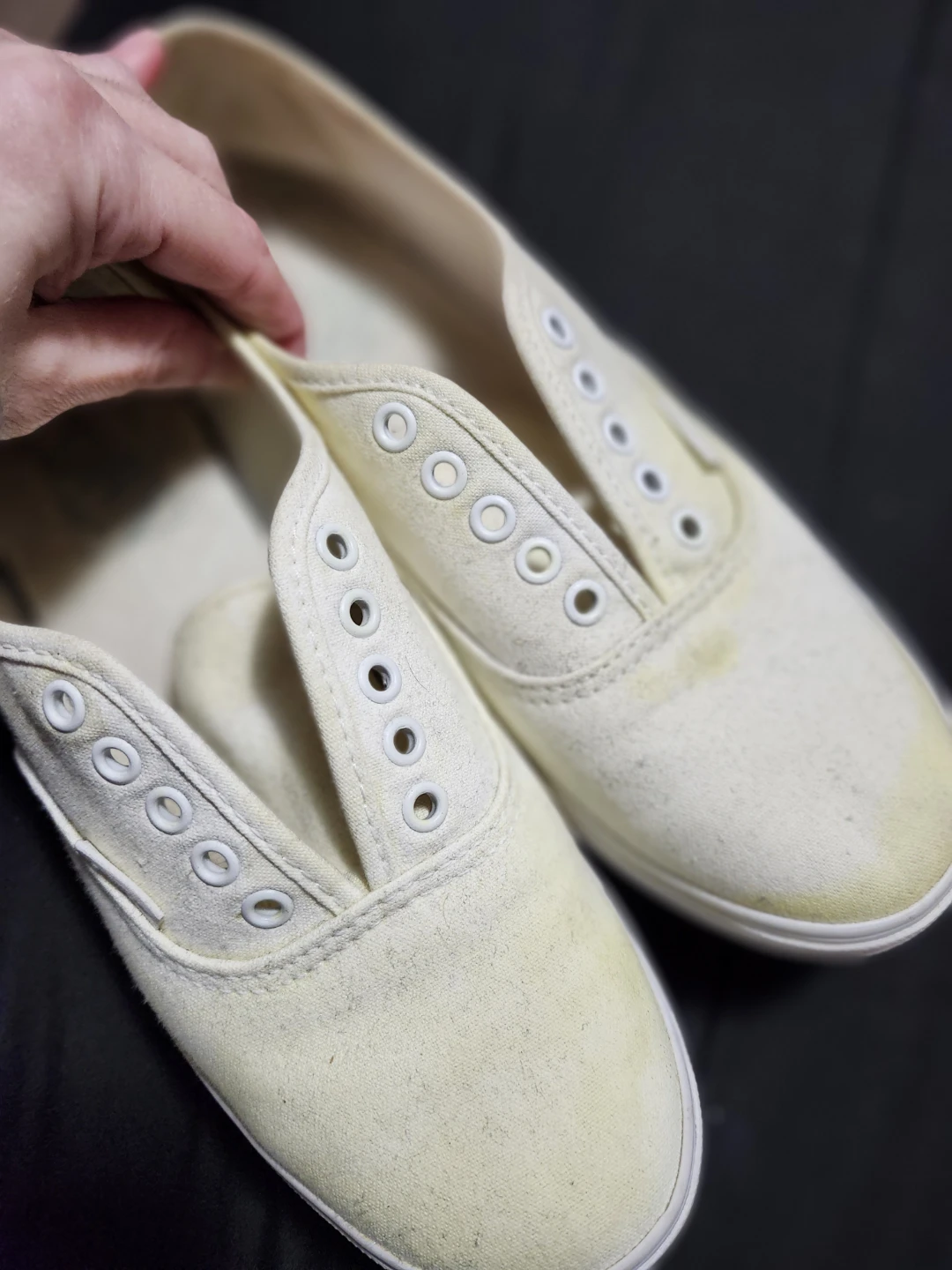 $5 vans - photo 3