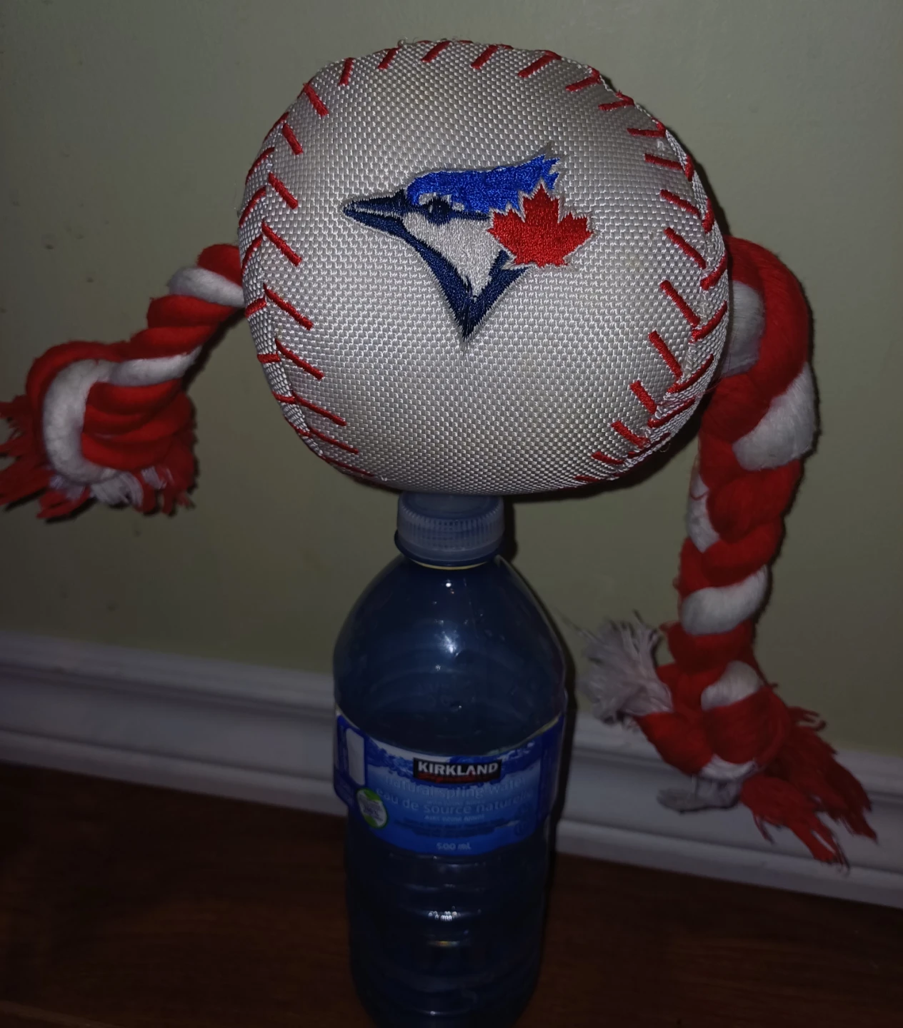 FREE Toronto Blue Jays Baseball DOG TOY - photo 2