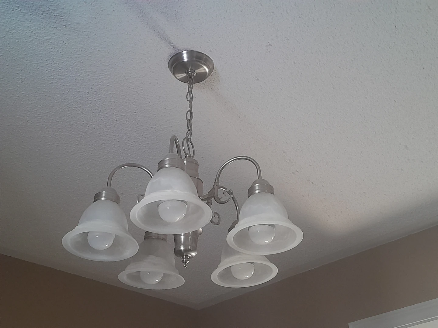 5-Light Chandelier with Frosted Bell Shades