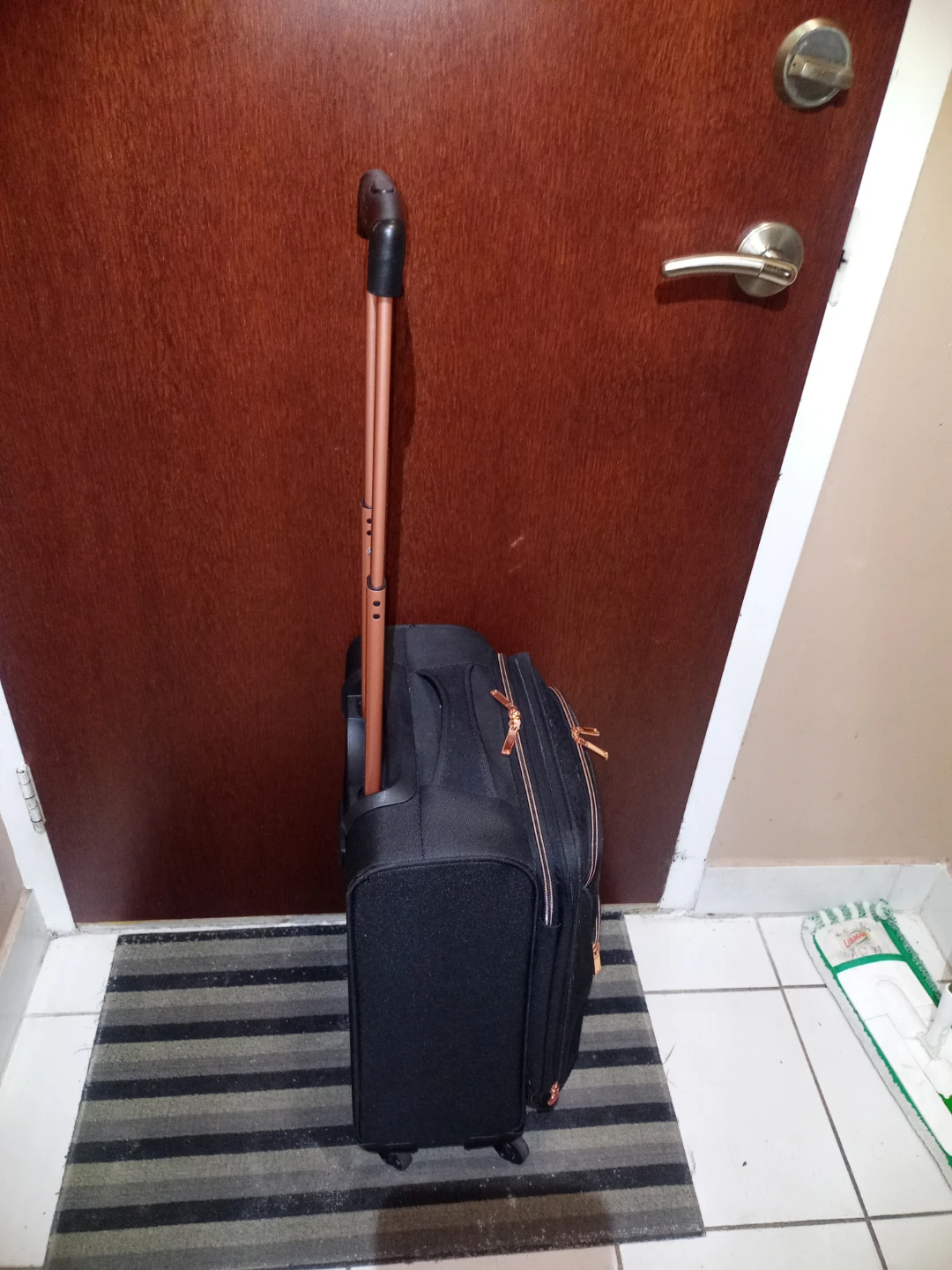 Small Luggage With Swivel Wheels - photo 4