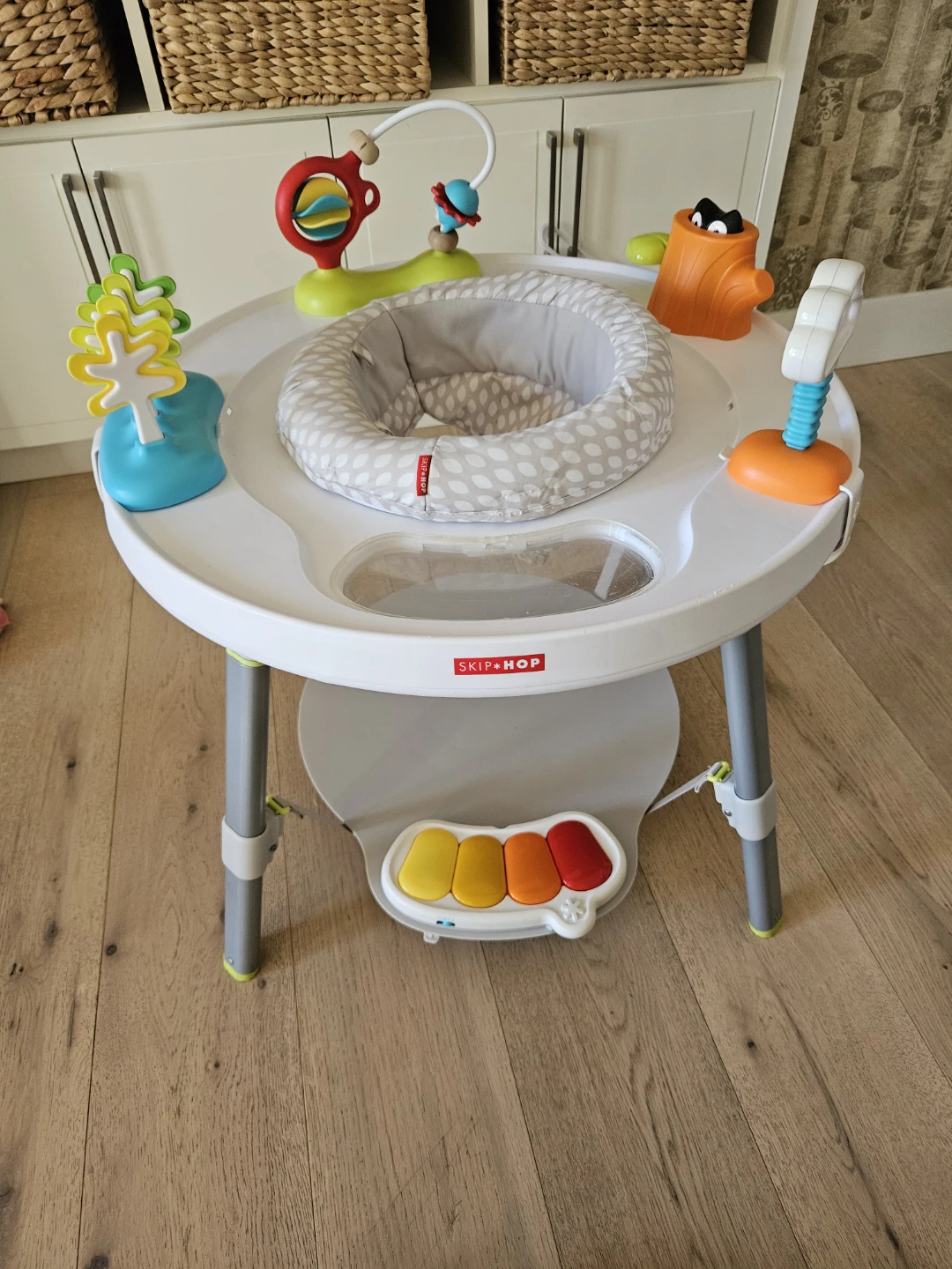 Skip Hop Baby Activity Center