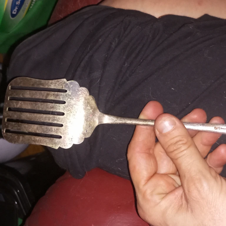 Vintage Silver Plated Serving Spatula - photo 2