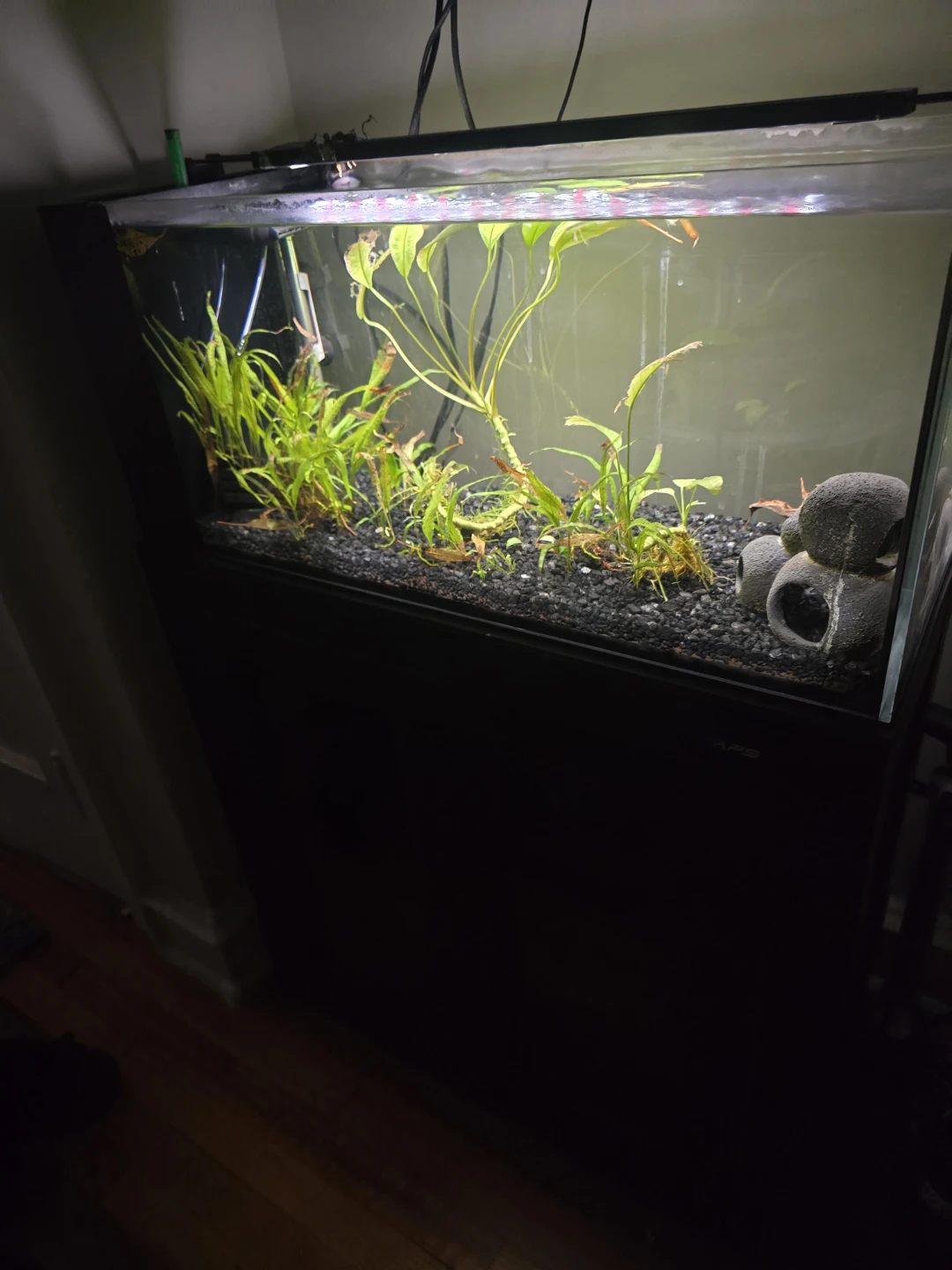 All-Glass Aquarium with Cabinet Stand - photo 2
