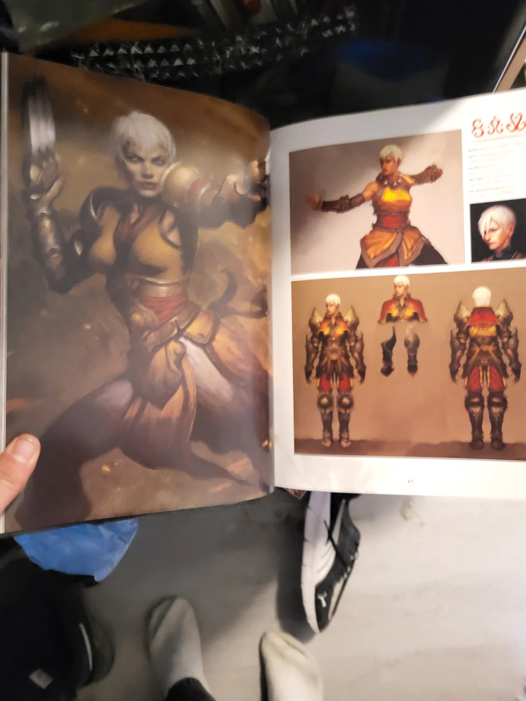The Art of Diablo Art Book - photo 3
